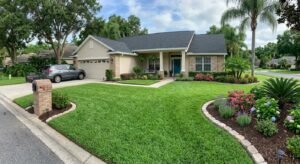 ST Augustine Grass sod: Cost, Buying & Care Guide