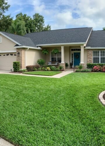 ST Augustine Grass sod: Cost, Buying & Care Guide