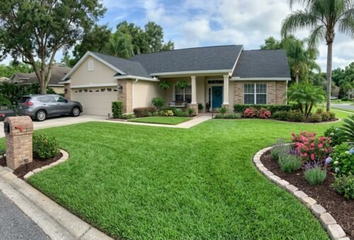 ST Augustine Grass sod: Cost, Buying & Care Guide