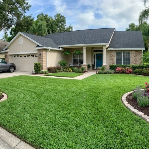 ST Augustine Grass sod: Cost, Buying & Care Guide