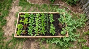 Watermelon Companion Crops: Best Plants to Grow Together